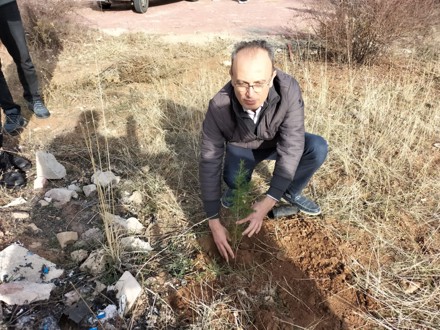 Her Çalışan Bir Fidan